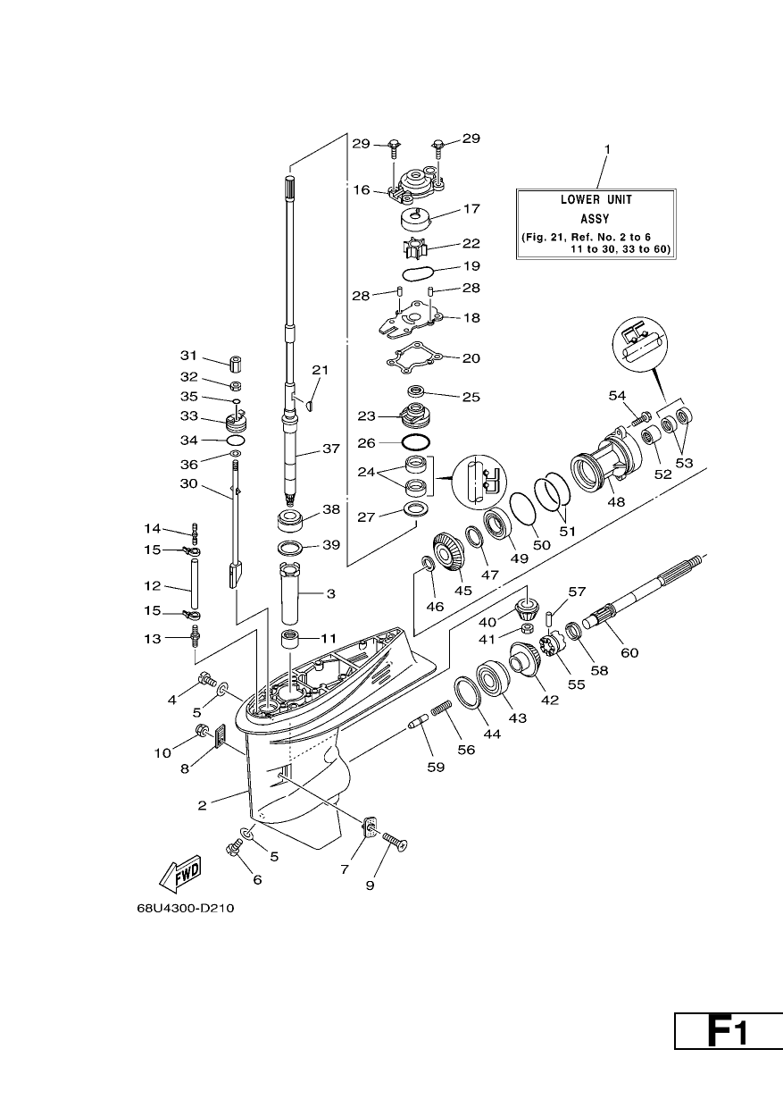 LOWER CASING & DRIVE 1