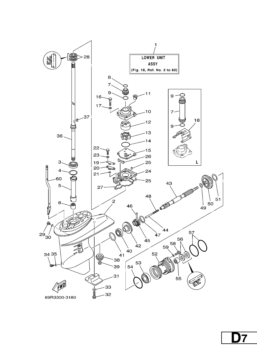 LOWER CASING & DRIVE 1