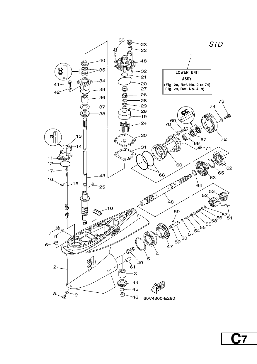 LOWER CASING & DRIVE 1