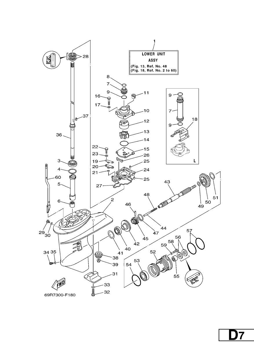 LOWER CASING & DRIVE 1
