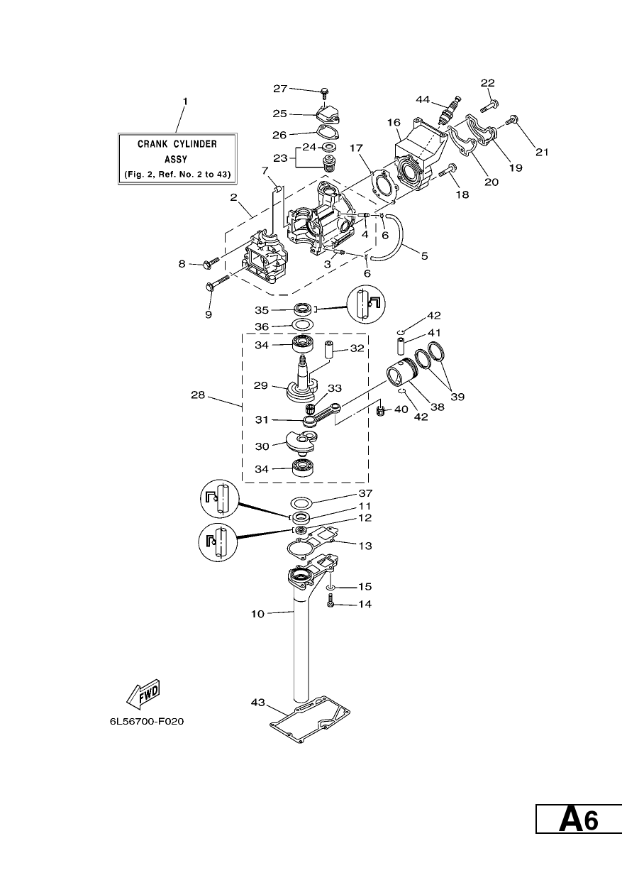 CYLINDER & CRANKCASE