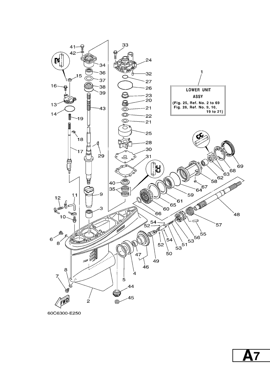 LOWER CASING & DRIVE 1