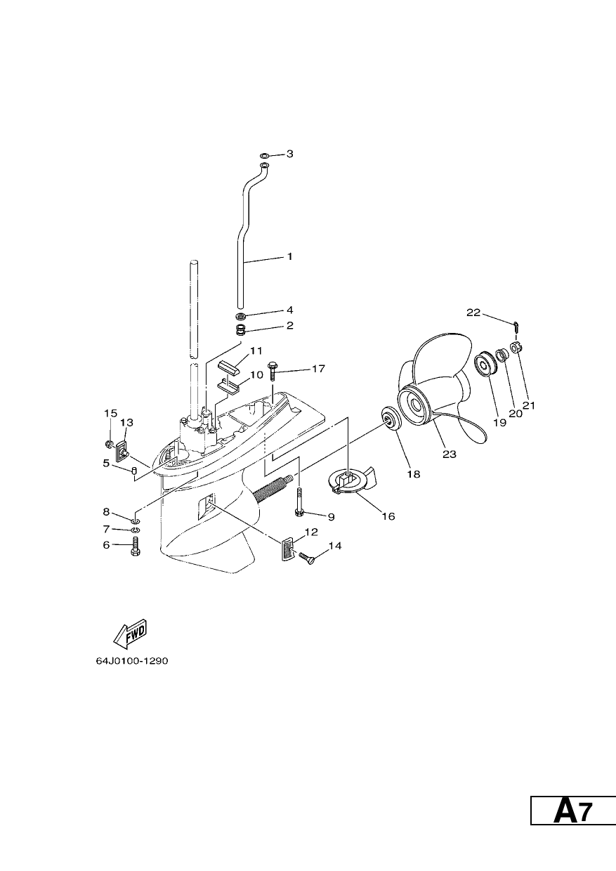 LOWER CASING & DRIVE 4 — F50AET’07 – 62Y6 2007