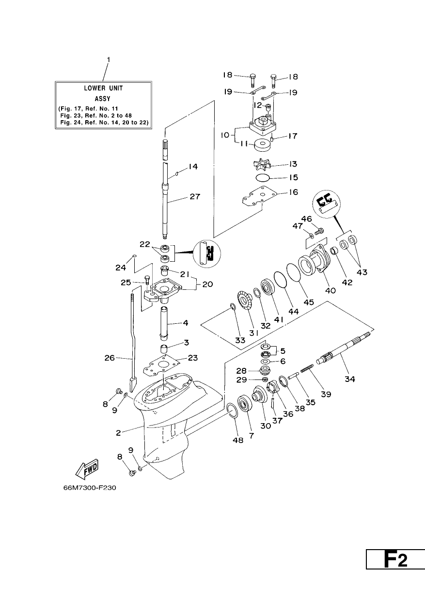 LOWER CASING & DRIVE 1