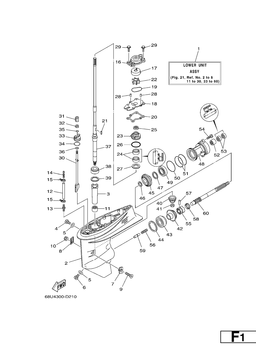 LOWER CASING & DRIVE 1