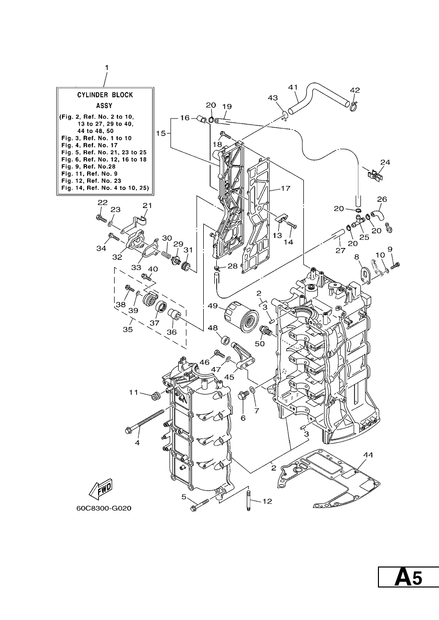 CYLINDER & CRANKCASE 1
