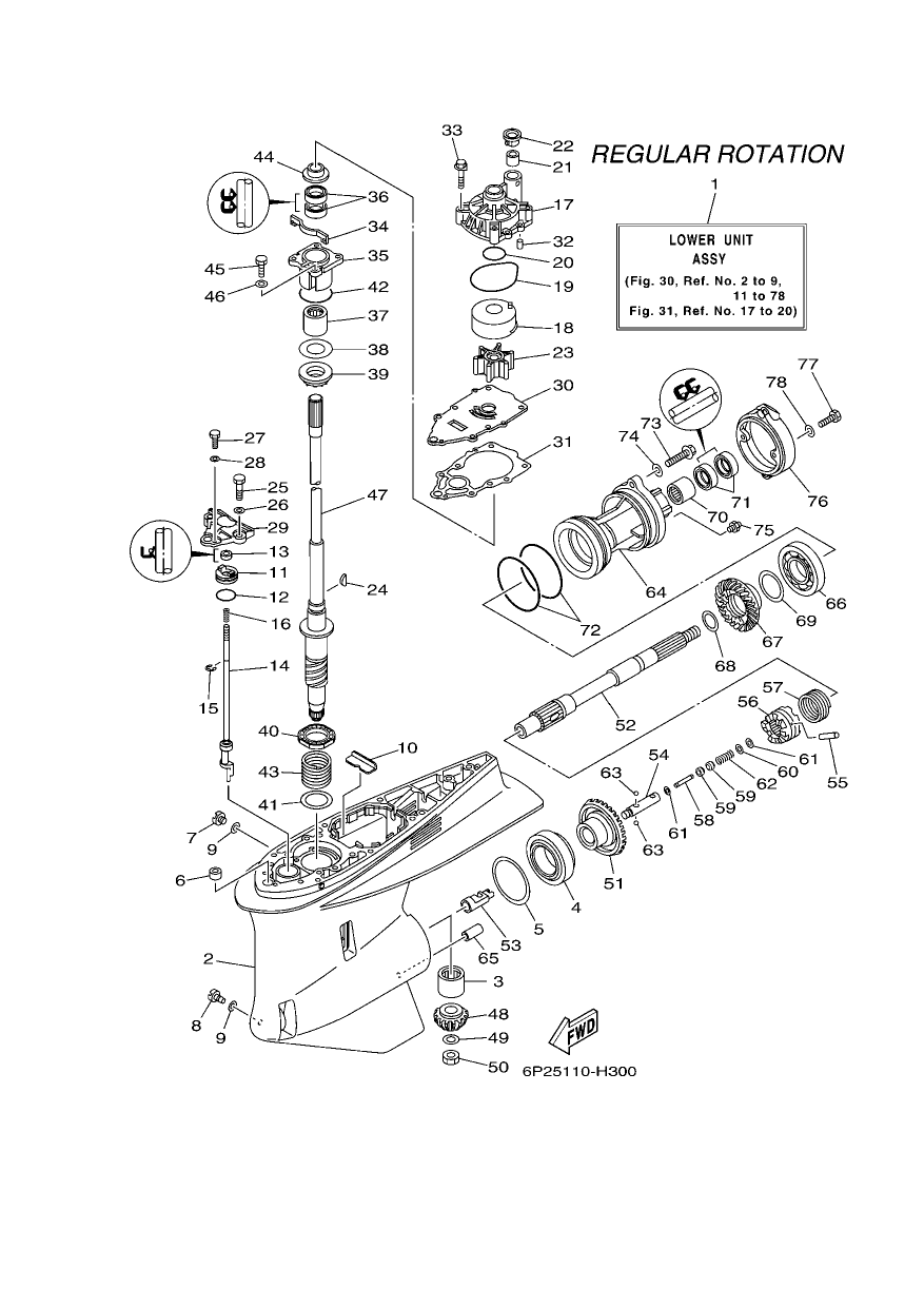 LOWER CASING & DRIVE 1