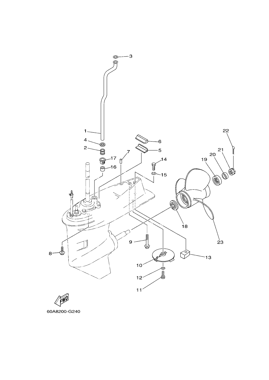 LOWER CASING & DRIVE 2 — F50DET’10 – 60AA 2010