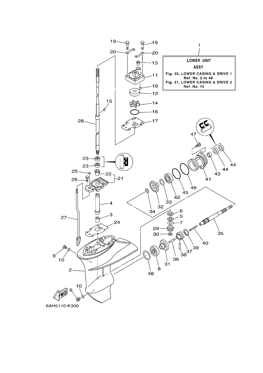 LOWER CASING & DRIVE 1