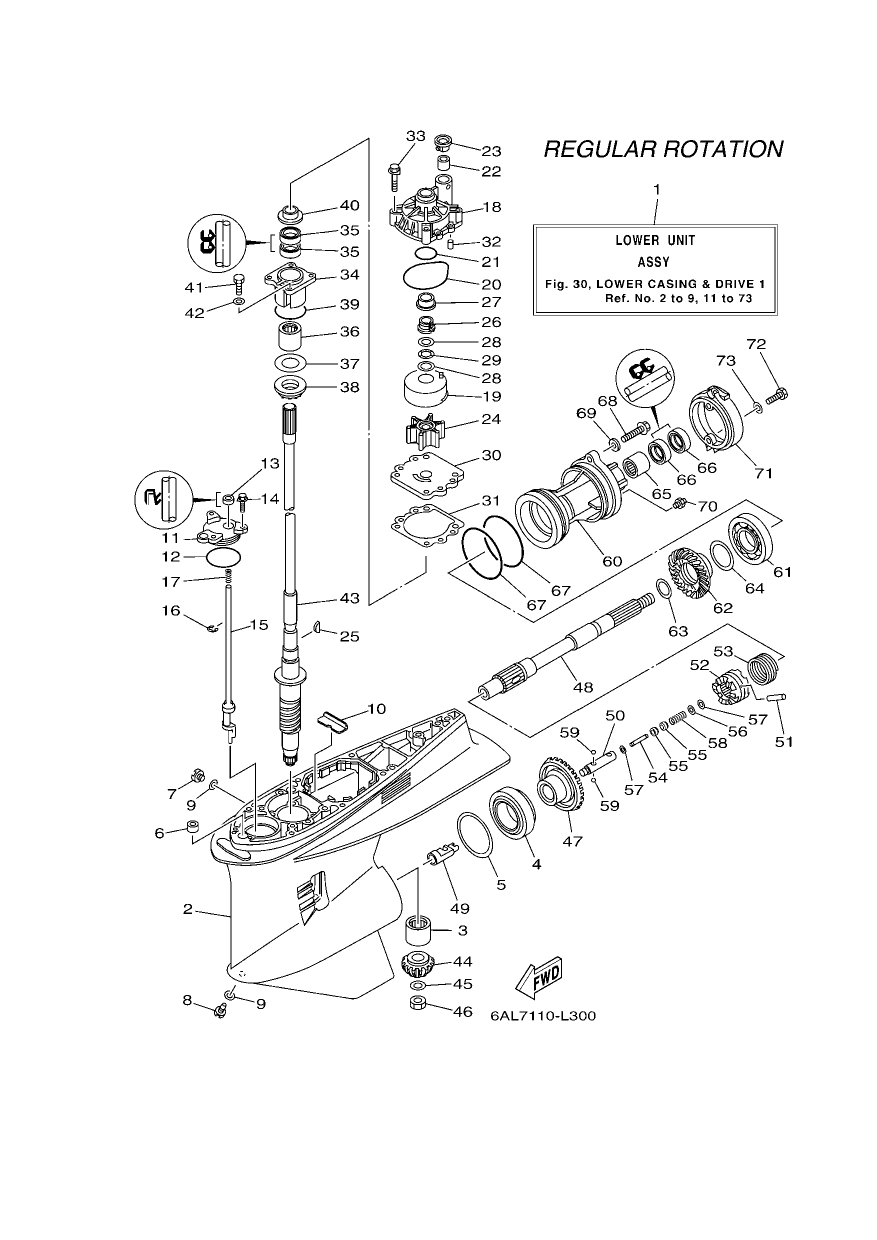 LOWER CASING & DRIVE 1