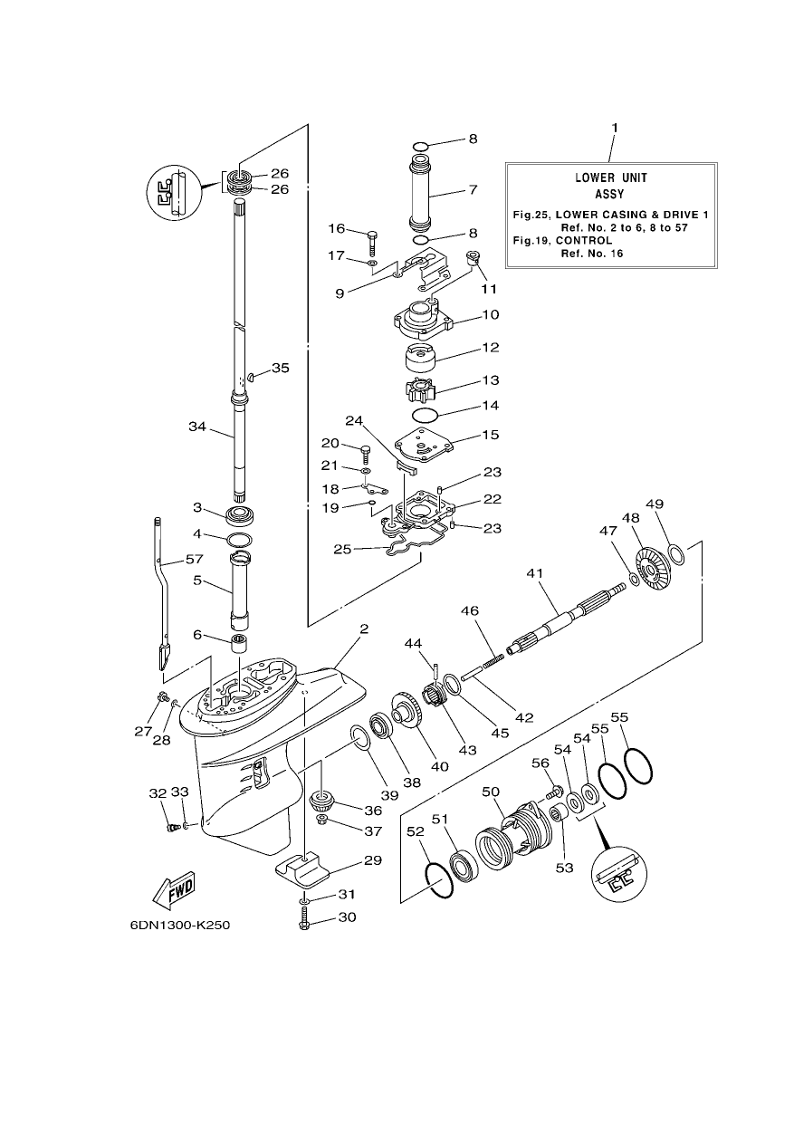LOWER CASING & DRIVE 1