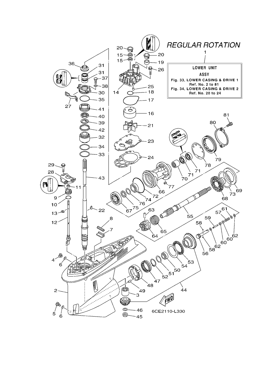 LOWER CASING & DRIVE 1