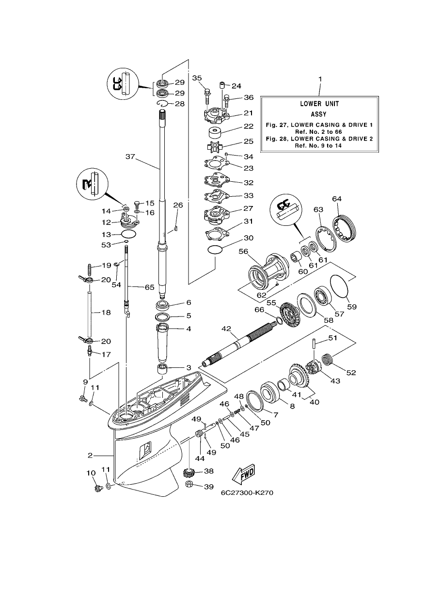 LOWER CASING & DRIVE 1