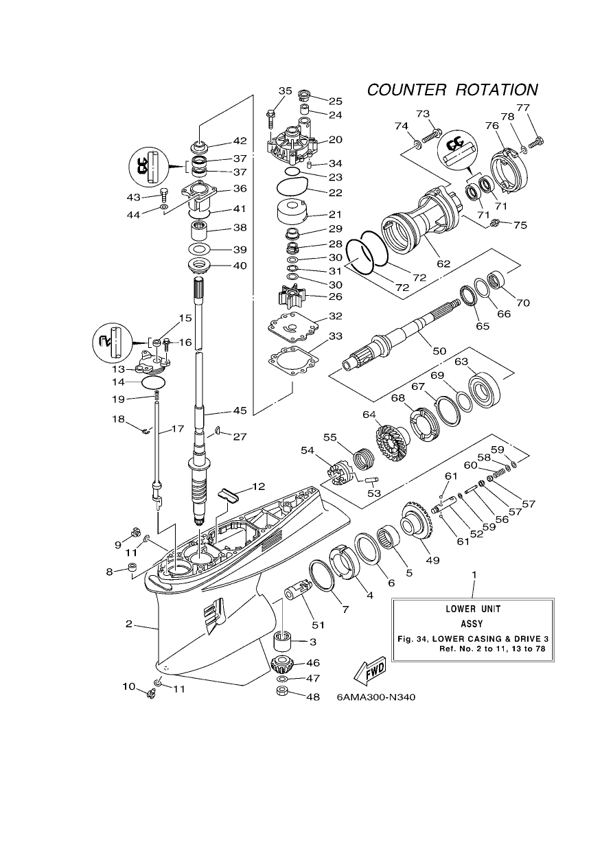 LOWER CASING & DRIVE 3