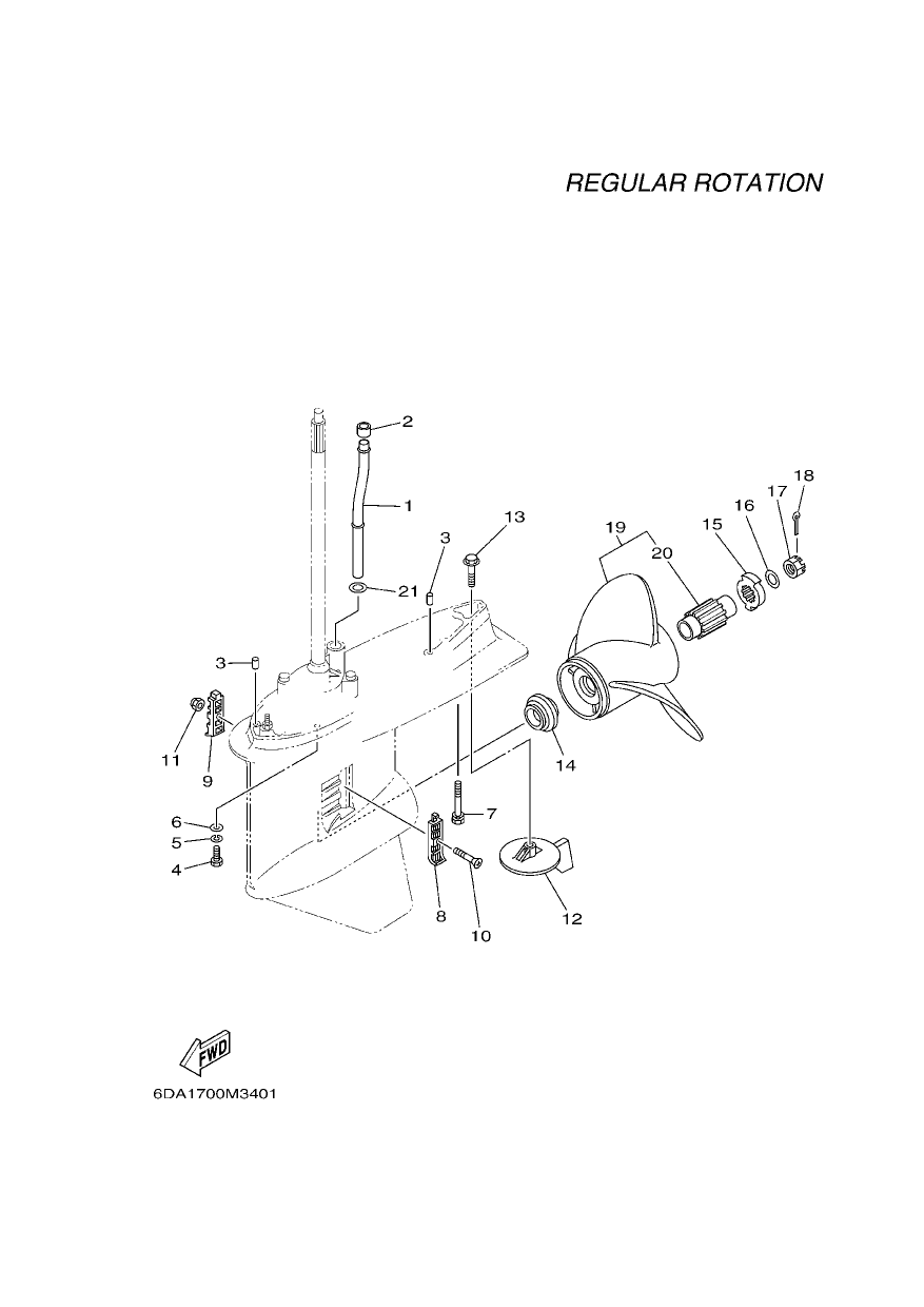 LOWER CASING & DRIVE 2