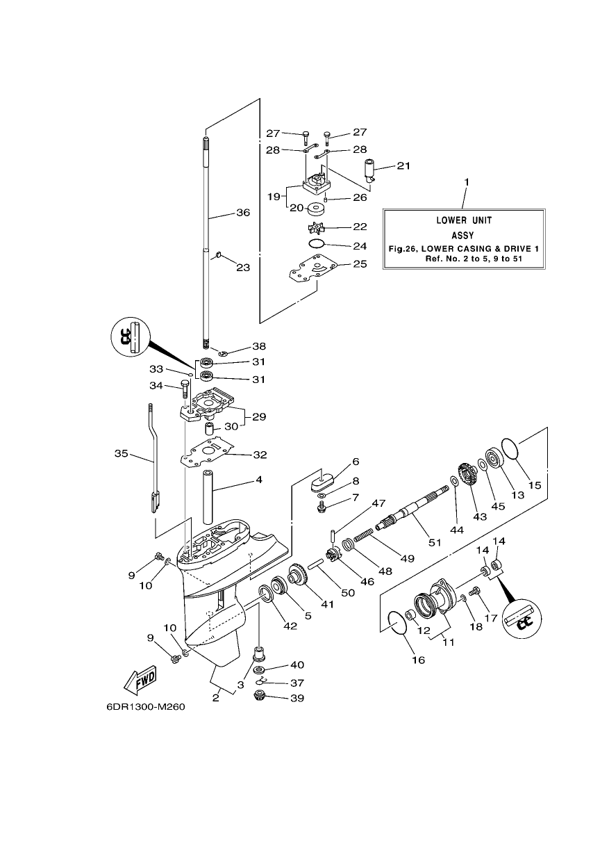 LOWER CASING & DRIVE 1