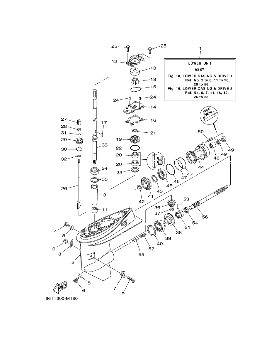 LOWER CASING & DRIVE 1