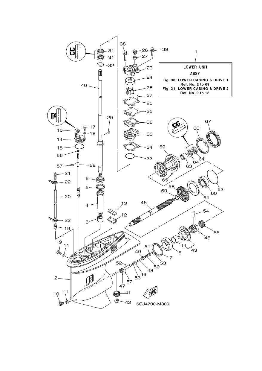 LOWER CASING & DRIVE 1