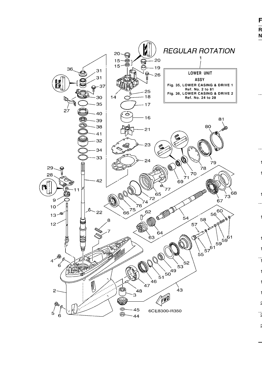 LOWER CASING & DRIVE 1