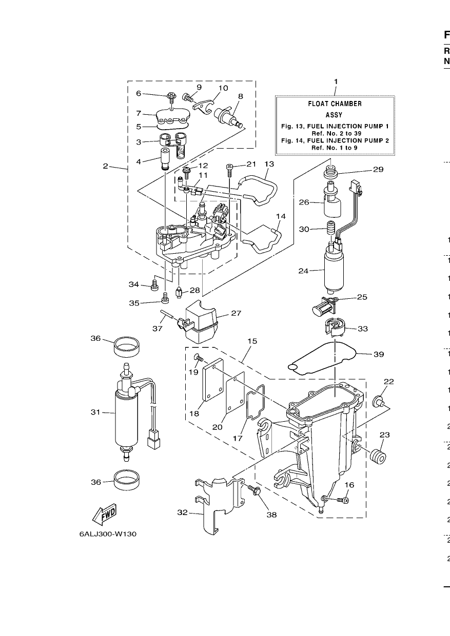 FUEL INJECTION PUMP 1